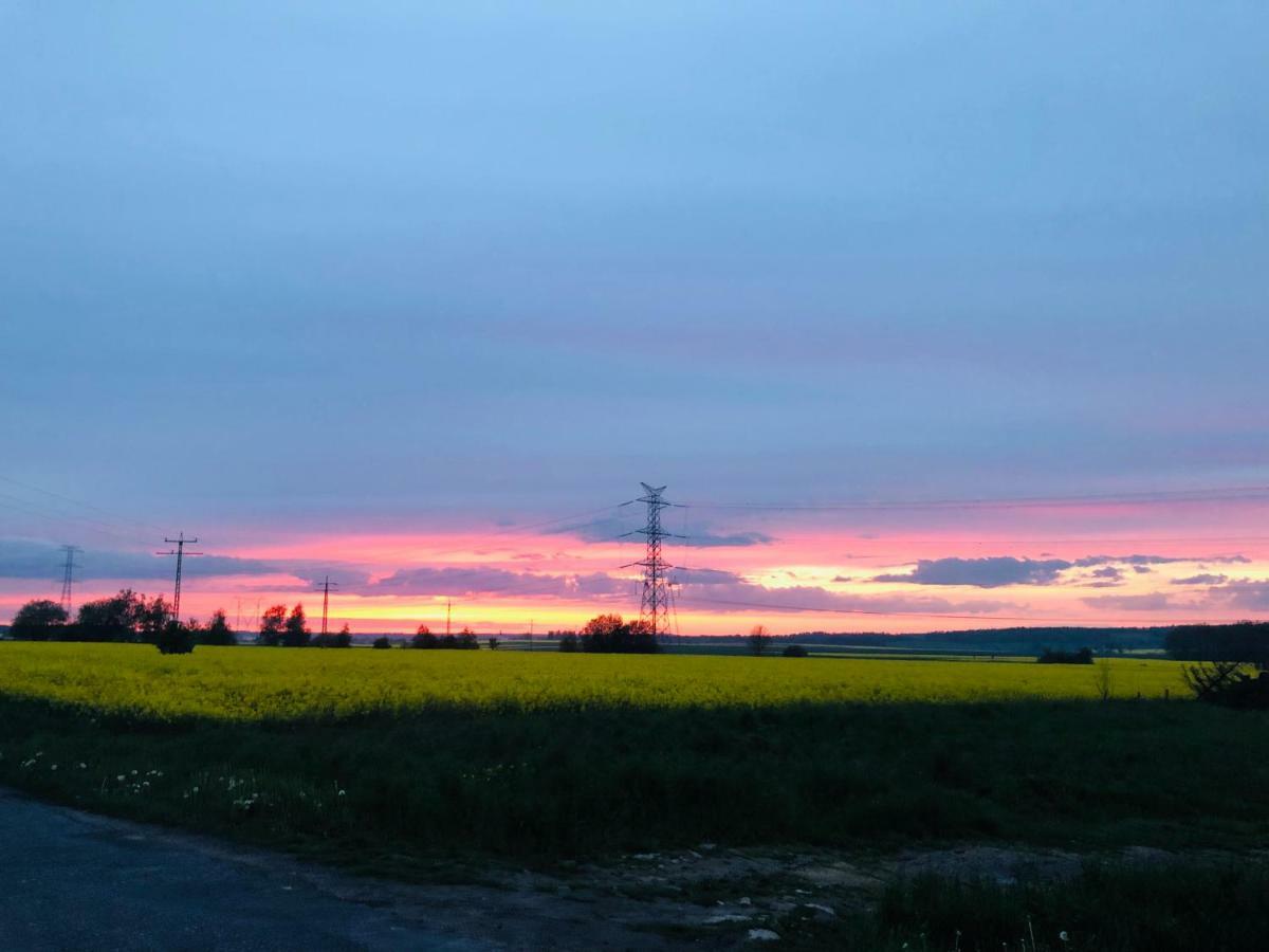 Nibylandia Dom Pod Lasem Nowa Wies Grodziska Esterno foto