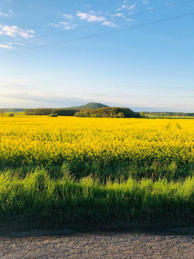 Nibylandia Dom Pod Lasem Nowa Wies Grodziska Esterno foto